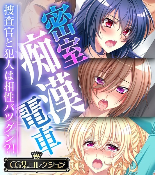 密室痴●電車 〜捜査官と犯人は相性バツグン？！〜【CG集コレクション】❤大人のSEXY絵本|6,336円