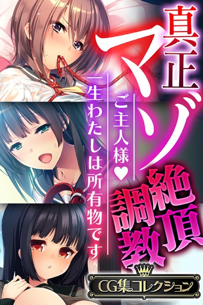 真正マゾ絶頂調教 〜ご主人様 一生わたしは所有物です〜【CG集コレクション】❤大人のSEXY絵本|6,336円