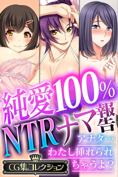 純愛100％ NTRナマ報告 〜アナタ…わたし挿れられちゃうよ？〜【CG集コレクション】❤大人のSEXY絵本|6,336円