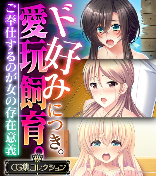 ド好みにつき。愛玩飼育 。 〜ご奉仕するのが女の存在意義〜【CG集コレクション】❤大人のSEXY絵本|6,336円
