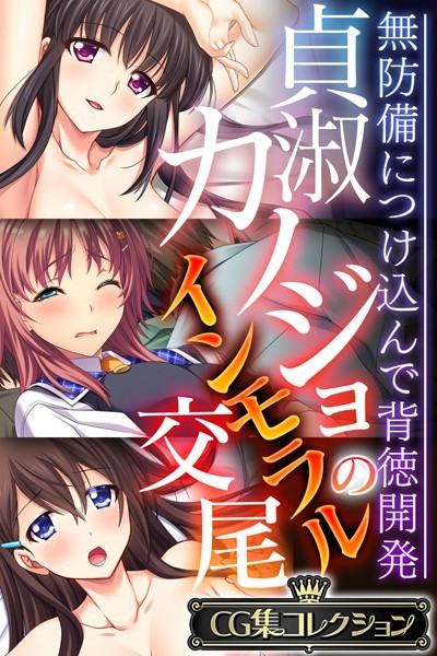 貞淑カノジョのインモラル交尾 〜無防備につけ込んで背徳開発〜【CG集コレクション】❤大人のSEXY絵本|6,336円