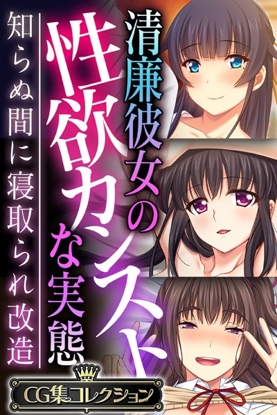 清廉彼女の性欲カンストな実態 〜知らぬ間に寝取られ改造〜【CG集コレクション】❤大人のSEXY絵本|6,336円