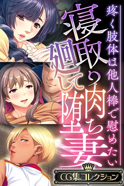 寝取り廻して肉堕ち妻 〜疼く肢体は他人棒で慰めたい〜【CG集コレクション】❤大人のSEXY絵本|6,336円