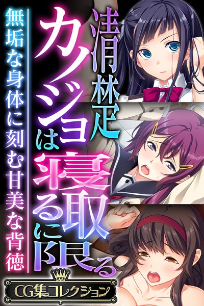 清楚カノジョは寝取るに限る 〜無垢な身体に刻む甘美な背徳〜【CG集コレクション】❤大人のSEXY絵本|6,336円