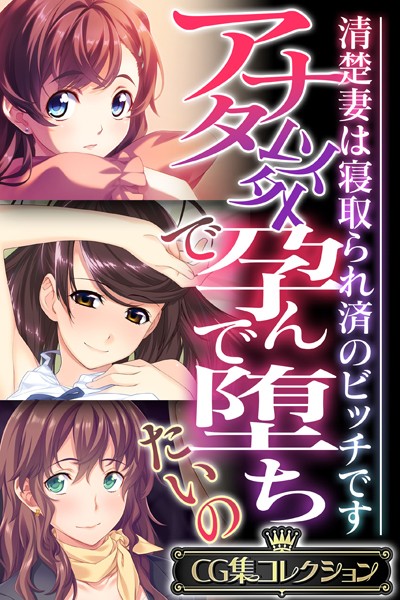 アナタ以外で孕んで堕ちたいの 〜清楚妻は寝取られ済のビッチです〜【CG集コレクション】❤大人のSEXY絵本|6,336円