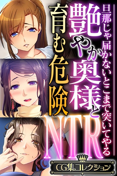 艶やか奥様と育む危険NTR 〜旦那じゃ届かないとこまで突いてやる〜【CG集コレクション】❤大人のSEXY絵本|6,336円