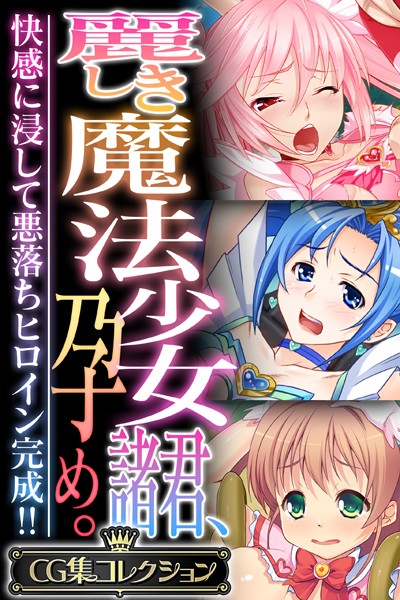 麗しき魔法少女諸君、孕め。 〜快感に浸して悪落ちヒロイン完成！！〜【CG集コレクション】❤大人のSEXY絵本|6,336円