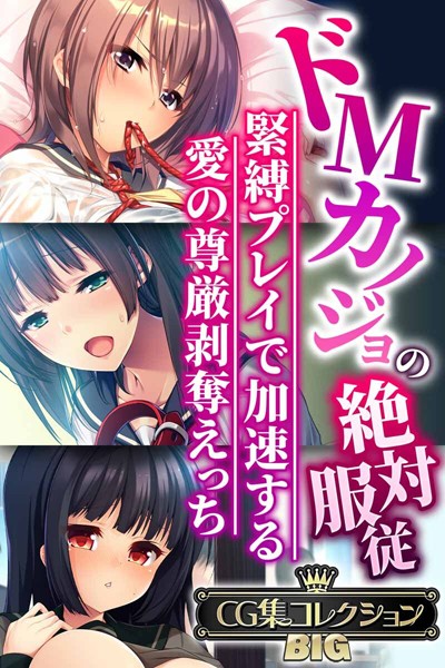 （評価）ドMカノジョの絶対服従 〜緊縛プレイで加速する愛の尊厳剥奪えっち〜【CG集コレクションBIG】❤大人のSEXY絵本|大人のSEXY絵本