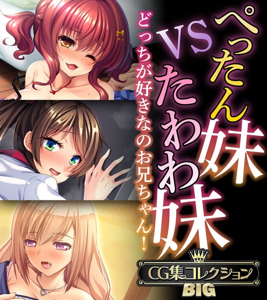 ぺったん妹VSたわわ妹〜どっちが好きなのお兄ちゃん！〜【CG集コレクションBIG】❤大人のSEXY絵本|10,560円