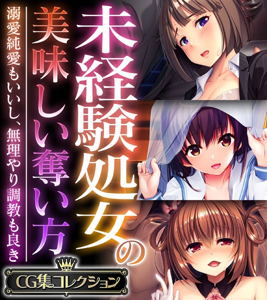 未経験処女の美味しい奪い方 〜溺愛純愛もいいし、無理やり調教も良き〜【CG集コレクション】❤大人のSEXY絵本|6,336円