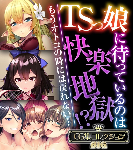 TSっ娘に待っているのは快楽地獄！？ 〜もうオトコの時には戻れない…〜【CG集コレクションBIG】❤大人のSEXY絵本|10,560円
