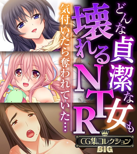 （評価）どんな貞潔な女も壊れるNTR〜気付いたら奪われていた…〜【CG集コレクションBIG】❤大人のSEXY絵本|大人のSEXY絵本