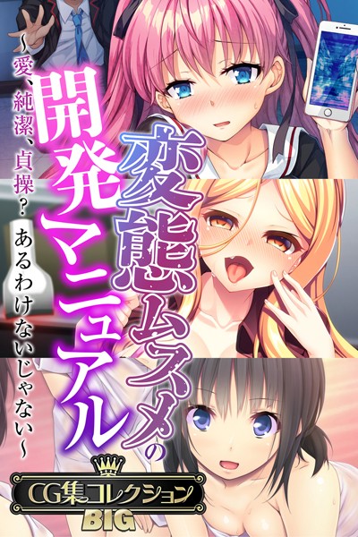 （評価）変態ムスメの開発マニュアル 〜愛、純潔、貞操？あるわけないじゃない〜【CG集コレクションBIG】❤大人のSEXY絵本|大人のSEXY絵本