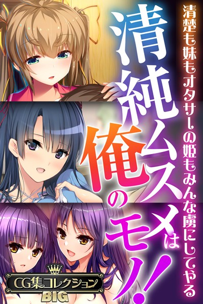 清純ムスメは俺のモノ！〜清楚も妹もオタサーの姫もみんな虜にしてやる〜【CG集コレクションBIG】❤大人のSEXY絵本|10,560円