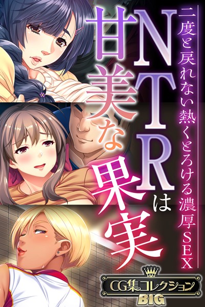 （評価）NTRは甘美な果実〜二度と戻れない熱くとろける濃厚SEX〜【CG集コレクションBIG】❤大人のSEXY絵本|大人のSEXY絵本