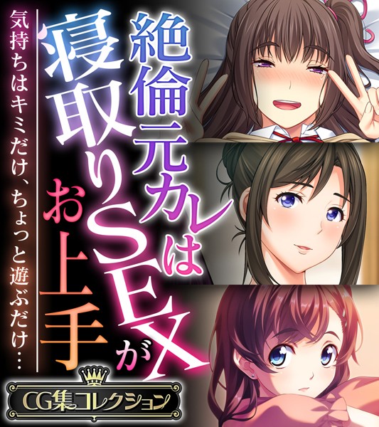 絶倫元カレは寝取りSEXがお上手 〜気持ちはキミだけ、ちょっと遊ぶだけ…〜【CG集コレクション】❤大人のSEXY絵本|6,336円