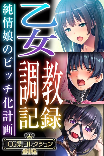 （評価）乙女調教記録〜純情娘のビッチ化計画〜【CG集コレクションBIG】❤大人のSEXY絵本|大人のSEXY絵本
