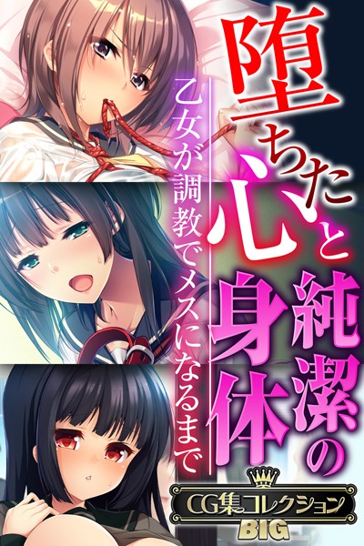 堕ちた心と純潔の身体〜乙女が調教でメスになるまで〜【CG集コレクションBIG】❤大人のSEXY絵本|10,560円