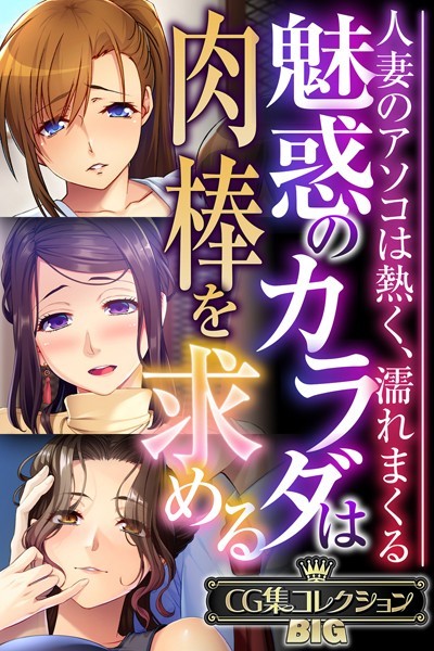（評価）魅惑のカラダは肉棒を求める〜人妻のアソコは熱く、濡れまくる〜【CG集コレクションBIG】❤大人のSEXY絵本|大人のSEXY絵本