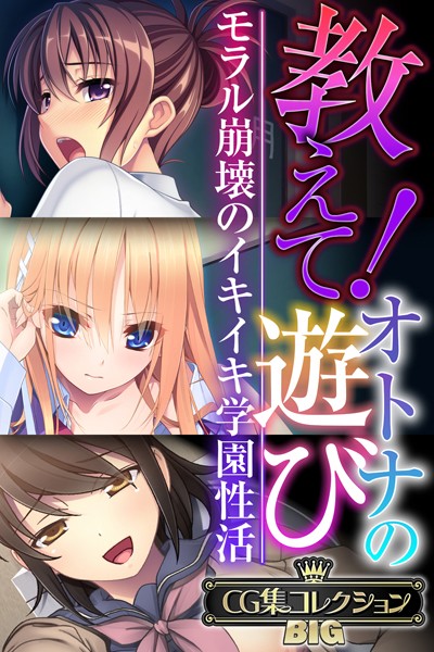 教えて！オトナの遊び 〜モラル崩壊のイキイキ学園性活〜【CG集コレクションBIG】❤大人のSEXY絵本|10,560円