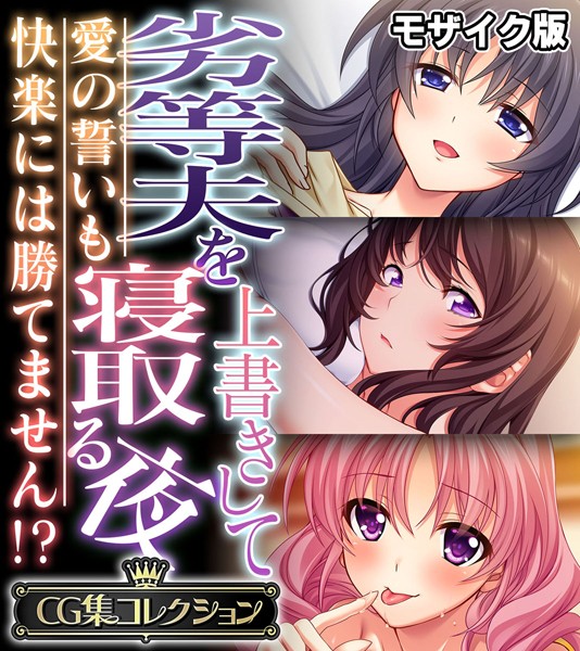 劣等夫を上書きして寝取る夜 〜愛の誓いも快楽には勝てません！？〜【CG集コレクション】 モザイク版❤大人のSEXY絵本|6,336円