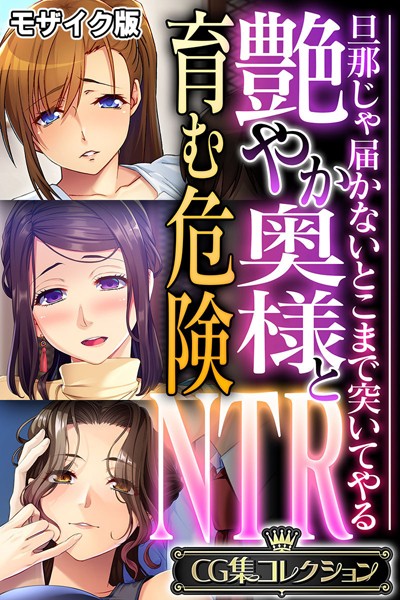 艶やか奥様と育む危険NTR 〜旦那じゃ届かないとこまで突いてやる〜【CG集コレクション】 モザイク版❤大人のSEXY絵本|6,336円