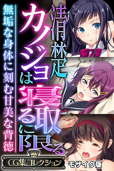 清楚カノジョは寝取るに限る 〜無垢な身体に刻む甘美な背徳〜【CG集コレクション】 モザイク版❤大人のSEXY絵本|6,336円