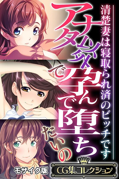 （評価）アナタ以外で孕んで堕ちたいの 〜清楚妻は寝取られ済のビッチです〜【CG集コレクション】 モザイク版❤大人のSEXY絵本|大人のSEXY絵本