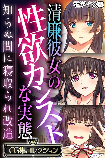 清廉彼女の性欲カンストな実態 〜知らぬ間に寝取られ改造〜【CG集コレクション】 モザイク版❤大人のSEXY絵本|6,336円