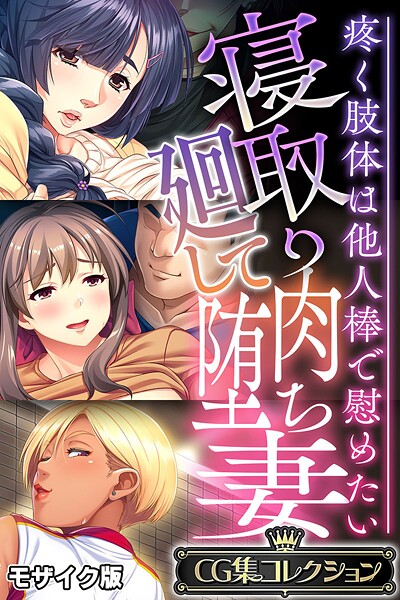 寝取り廻して肉堕ち妻 〜疼く肢体は他人棒で慰めたい〜【CG集コレクション】 モザイク版❤大人のSEXY絵本|6,336円