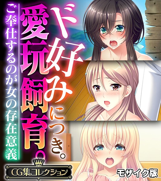 ド好みにつき。愛玩飼育。 〜ご奉仕するのが女の存在意義〜【CG集コレクション】 モザイク版❤大人のSEXY絵本|6,336円