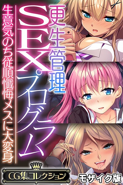 更生管理SEXプログラム 〜生意気のち従順懺悔メスに大変身〜【CG集コレクション】 モザイク版❤大人のSEXY絵本|6,336円