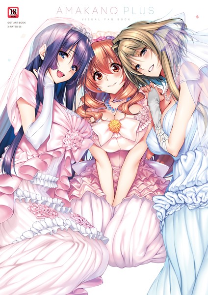 アマカノ＋ ビジュアルファンブック❤ピロ水|3,462円