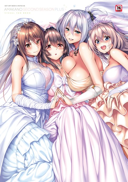 アマカノ〜Second Season〜＋（プラス）ビジュアルファンブック【FANZA限定特典付き】❤ピロ水|3,565円