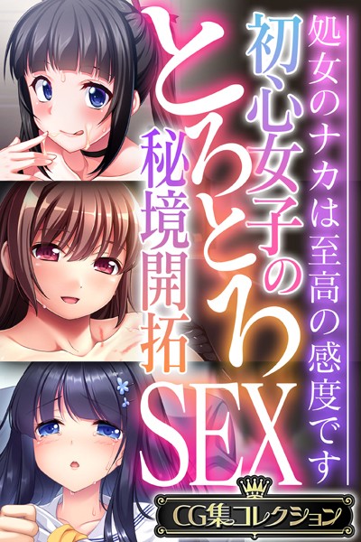 初心女子のとろとろ秘境開拓SEX 〜処女のナカは至高の感度です〜【CG集コレクション】❤大人のSEXY絵本|5,280円