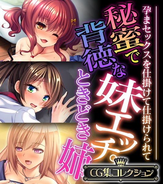 秘蜜で背徳な妹エッチ。ときどき姉 〜孕まセックスを仕掛けて仕掛けられて〜【CG集コレクション】❤大人のSEXY絵本|5,280円