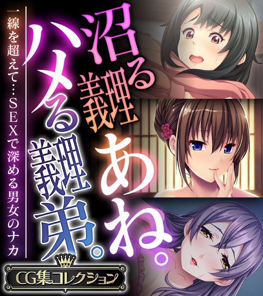 沼る義理あね。ハメる義理弟。 〜一線を超えて…SEXで深める男女のナカ〜【CG集コレクション】❤大人のSEXY絵本|5,280円