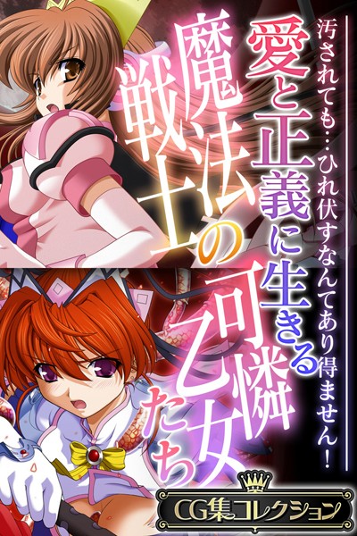 愛と正義に生きる魔法戦士の可憐乙女たち 〜汚されても…ひれ伏すなんてあり得ません！〜【CG集コレクション】❤大人のSEXY絵本|5,280円