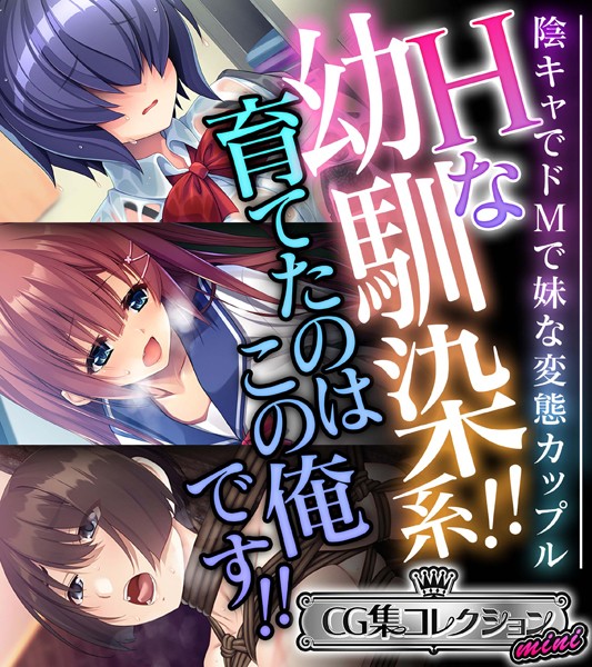 Hな幼馴染系！！育てたのはこの俺です！！ 〜陰キャでドMで妹な変態カップル〜【CG集コレクション ミニ】❤大人のSEXY絵本|3,168円