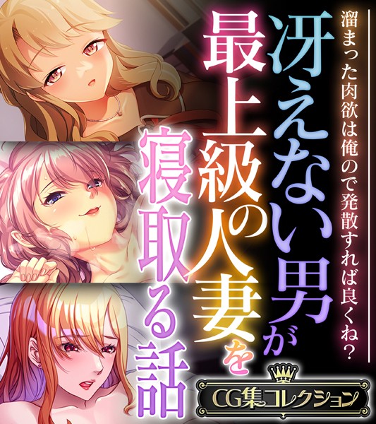 冴えない男が最上級の人妻を寝取る話 〜溜まった肉欲は俺ので発散すれば良くね？〜【CG集コレクション】❤大人のSEXY絵本|5,280円