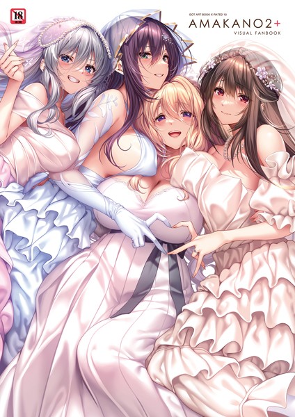 アマカノ2＋ ビジュアルファンブック❤ピロ水|3,850円