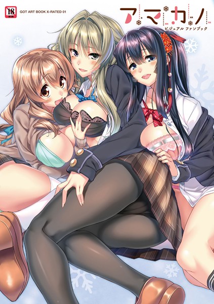 アマカノビジュアルファンブック❤ピロ水|2,728円