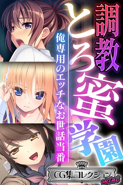調教とろ蜜学園 〜俺専用のエッチなお世話当番〜【CG集コレクション ミニ】❤大人のSEXY絵本|3,168円