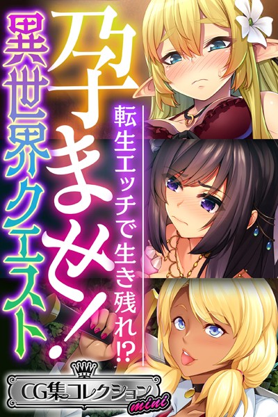 孕ませ！異世界クエスト 〜転生エッチで生き残れ！？〜【CG集コレクション ミニ】❤大人のSEXY絵本|3,168円