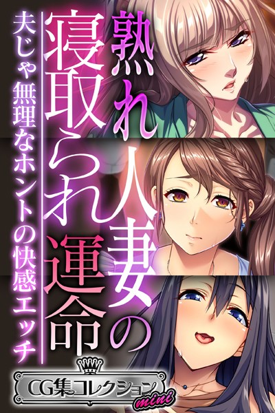 熟れ人妻の寝取られ運命 〜夫じゃ無理なホントの快感エッチ〜【CG集コレクション ミニ】❤大人のSEXY絵本|3,168円