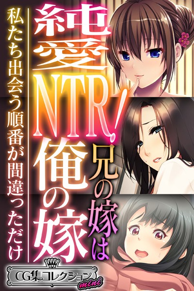 純愛NTR！兄の嫁は俺の嫁 〜私たち出会う順番が間違っただけ〜【CG集コレクション ミニ】❤大人のSEXY絵本|3,168円