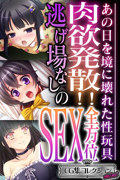肉欲発散！！逃げ場なしの全方位SEX 〜あの日を境に壊れた性玩具〜【CG集コレクション ミニ】❤大人のSEXY絵本|3,168円