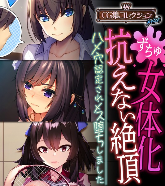 女体化、抗えない絶頂。 〜ハメ穴認定されメス堕ちしました〜【CG集コレクション プチ】❤大人のSEXY絵本|3,168円